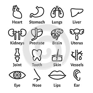 Icon Set of Human Organs