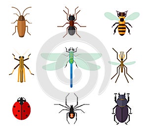 Icon set of insects in flat style design vector illustration