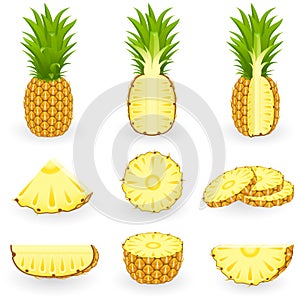 Icon Set Pineapple