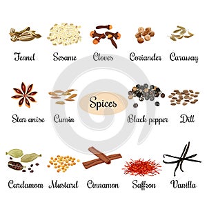 Icon set with titles of popular culinary spices