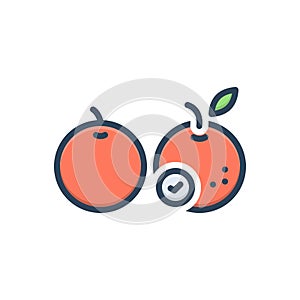 Color illustration icon for Than, fruit and orange photo