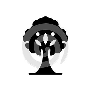Black solid icon for Tree, plant and foliage photo