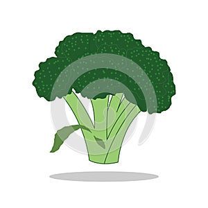 icon vegetables of broccoli