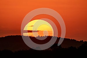 Iconic Africa sunset and orange sky with large sun, over the Masaai Mara Reserve in Kenya