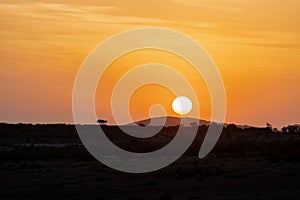 Iconic Africa sunset and orange sky with large sun, over the Masaai Mara Reserve in Kenya