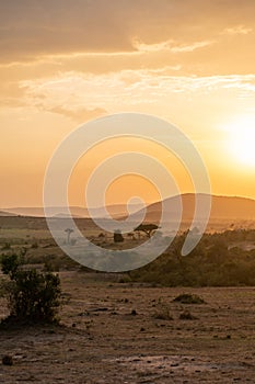 Iconic Africa sunset and orange sky with large sun, over the Masaai Mara Reserve in Kenya