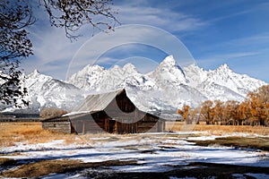 Iconic barn in Grand Teton National park