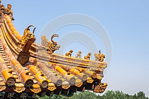 Chinese imperial roof decorations, the roof from building of Forbidden city  in Beijing, China
