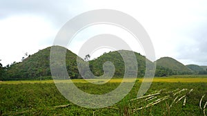 Chocolate hills, Bohol, Filipino photo