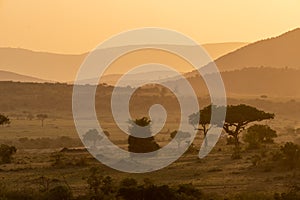 Iconic dusk orange sunset scene in the Masaai Mara reserve in Kenya Africa. Dusty scene