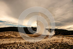 Iconic geyser in Yellowstone, the old Faitful