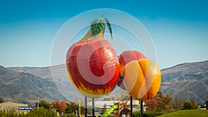 The iconic giant fruit in Crowell, New Zealand