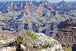 Iconic Grand Canyon Vista