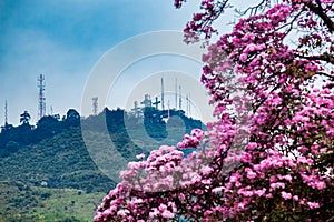 The iconic Hill of the Three Crosses at the city of Cali in Colombia