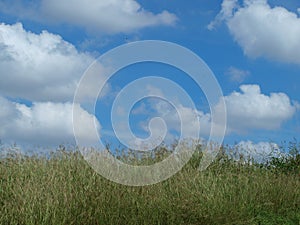 An Iconic Image of Terra Firma and Sky With Puffy White Clouds