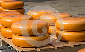 Iconic images of Dutch cheese making traditions in the Netherlands