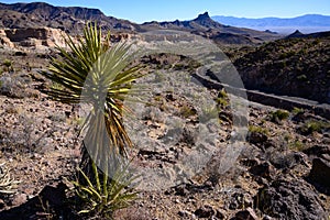 Iconic images of the famous and historical Route 66, Oatman Road