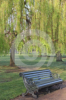 Iconic London park bench in spring