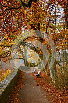 Iconic Mediaeval Town in Germany During Autrumn