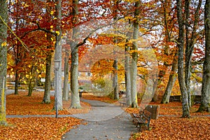 Iconic Mediaeval Town in Germany During Autrumn