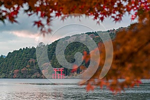 An iconic red gate of Hakone jinja shrine standing in Lake Ashi with blurred red maple leaves