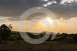 Iconic sunset scene over the Masaai Mara Reserve in Kenya