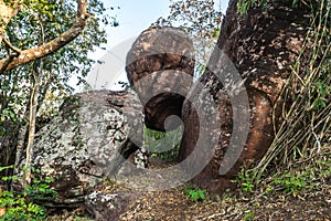 The iconic view of the giant rock at Phu Taopong, the unseen destination of Dansai district, Loei