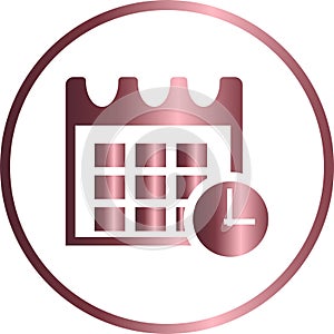 Vector circular icon, calendar photo