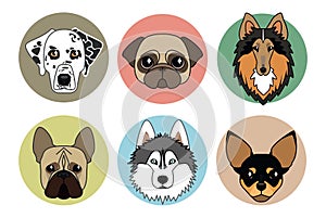 Icons of different breeds of dogs