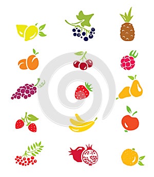 Icons - fruits and berries photo