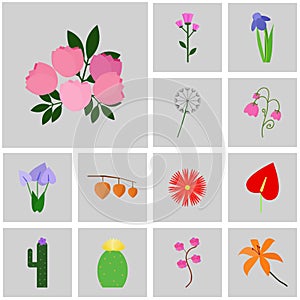 Icons gray, square, . Vector icon set flower. Icon peony, pink