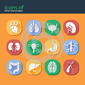 icons of human internal organs. Vector illustration decorative background design
