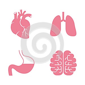 Icons of Human Organs. Heart, Lungs, Stomach, Brains photo