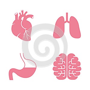 Iconos de hombre autoridades. corazón pulmones, cabeza 