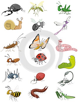 Icons insects set