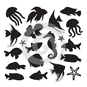 Icons marine life