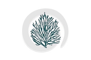 icons, seaweed, corals, logos, neurons and algae with simple inspiration photo