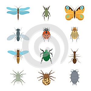 Icons set insects flat - dragonfly, beetle, butterfly, fly, ladybug, koroladsky beetle, wasp, bronzovik ant, tick, a spider, wood