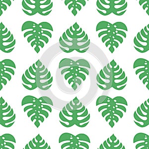 Icons with tropical palm leaves, monstera. hand drawn exotic plants. Floral seamless background. Monstera