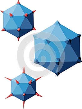 Icosahedral virion