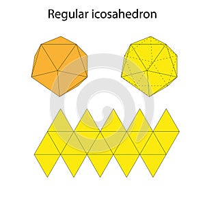 Icosahedron with net. Regular polyhedron. Vector illustration