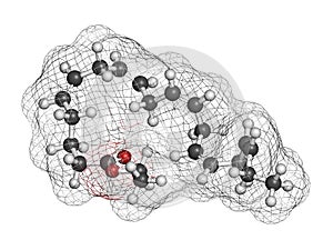 Icosapent ethyl (ethyl eicosapentaenoic acid) drug molecule.  3D rendering. Atoms are represented as spheres with conventional