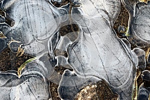 Icy abstraction with grasses