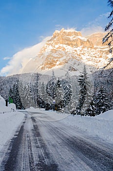 Icy Alpine Road through a Forest Covered in Fresh Snow