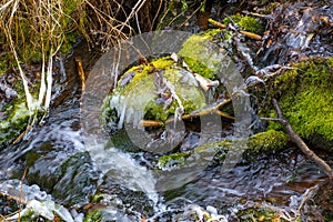 Icy bed of a small stream in the forest.