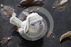 Icy bird statuette in winter