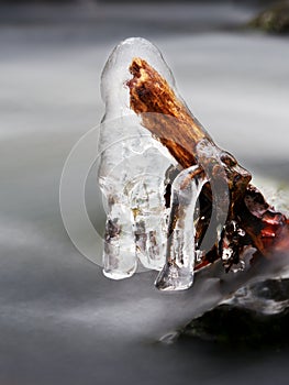 Icy branches above chilling stream. Reflections in icicles