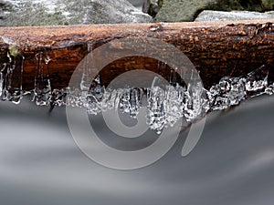 Icy branches above chilling stream. Reflections in icicles