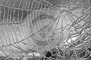 the icy cobweb is gray, great for backgrounds., designs