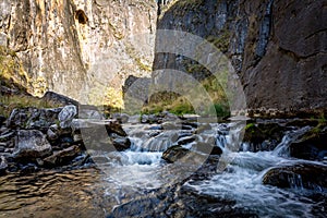 Icy cold cvreek flowing through Snowy Mountains